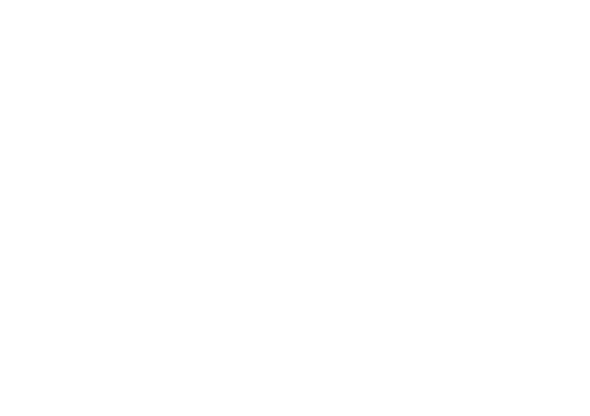 A drawing of an emerald, the logo of Emerald Plus.